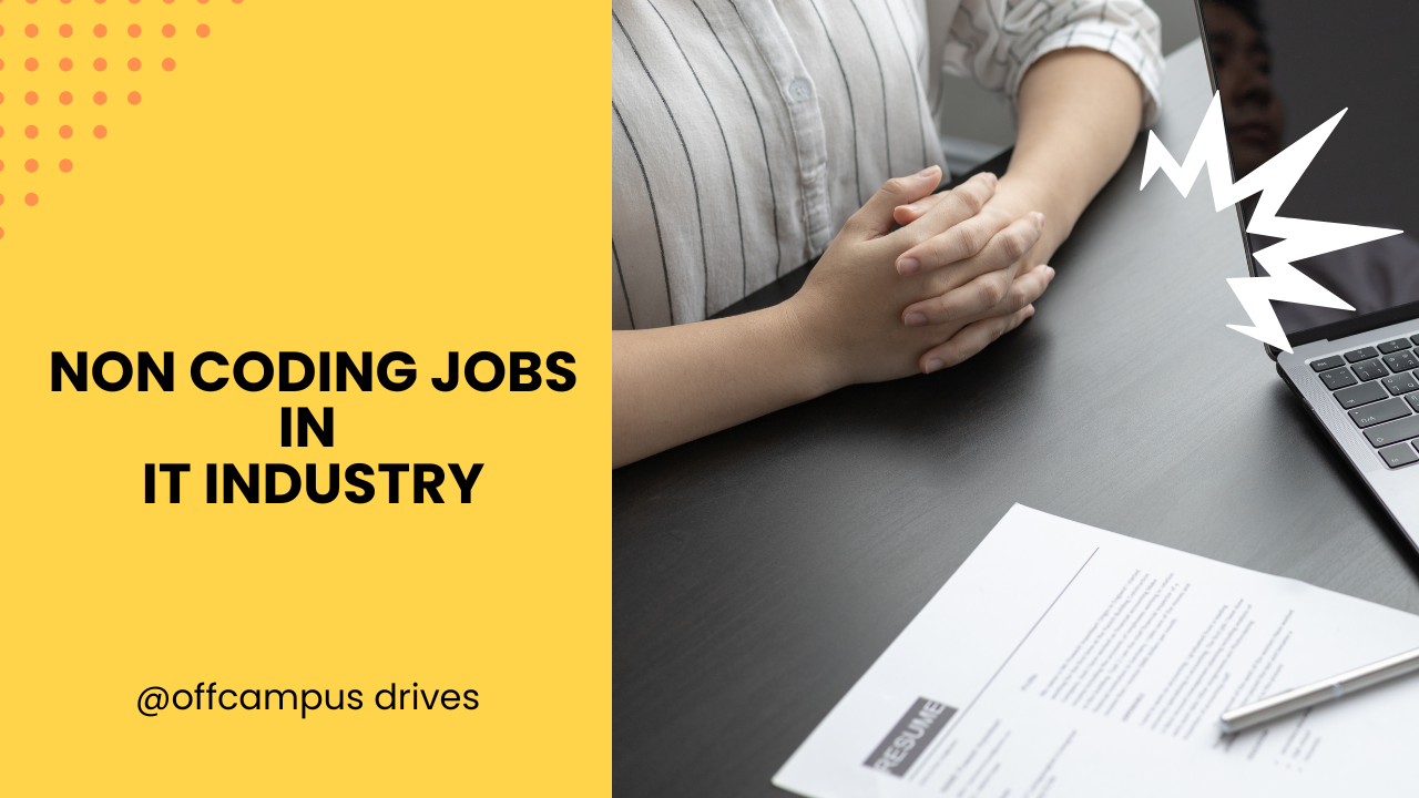 Non Coding Jobs In IT Industry