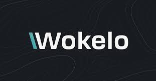 Wokelo Hiring For Software Developer – I